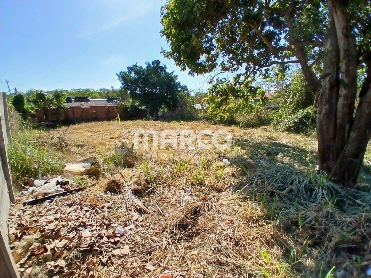Terreno l 1.573,45 m² l Ribeirão da Ponte l Cuiabá - MT — foto 4