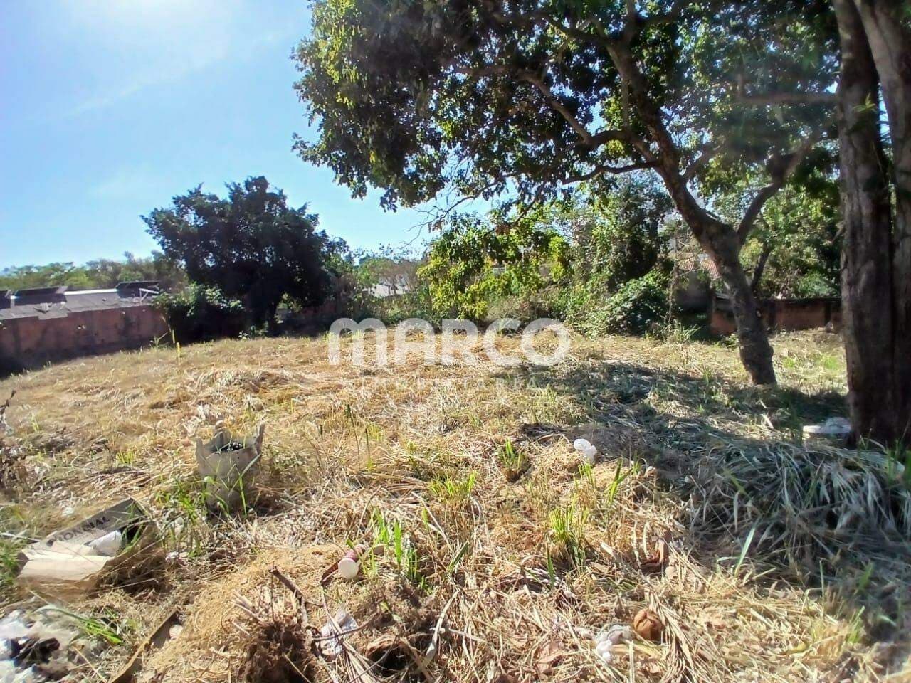 Terreno l 1.573,45 m² l Ribeirão da Ponte l Cuiabá - MT — foto 5